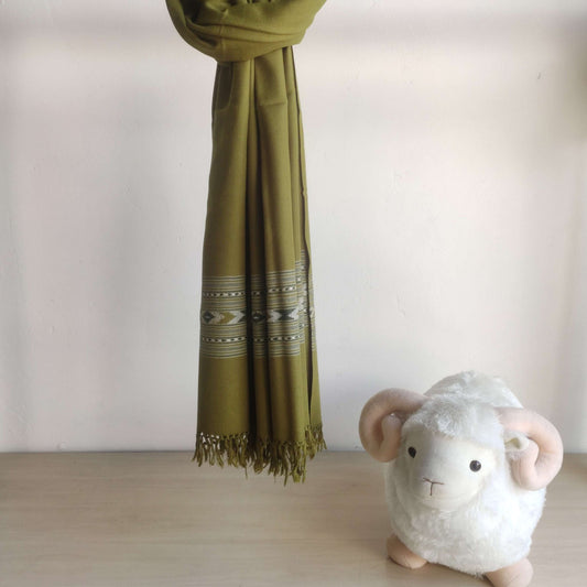 Hand Woven Pure Merino Wool Kullu Shawl Green - Bhuttico Shawls