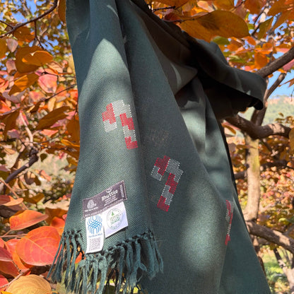 The Green Candy Cane Shawl